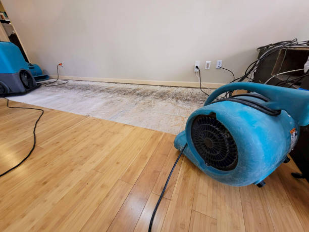 Professional Structural Drying technician working in Lake Bluff, IL